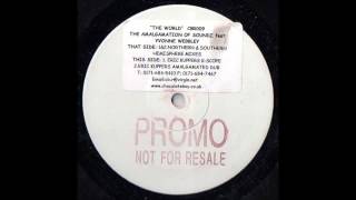 1999 The Amalgamation Of Soundz feat Yvonne Webbley  The World Eric Kupper Amalgamated Dub RMX [upl. by Iamhaj199]