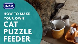 Make a Cat Puzzle Feeder [upl. by Demmahum864]