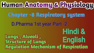 Part of Respiratory system  Lungs  Alveoli  Regulation Mechanism of Respiration  D Pharma 💥📖 [upl. by Buerger311]