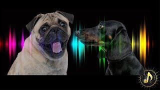 Dogs Barking Sound Effect  Sounds Dogs Love [upl. by Atalaya]