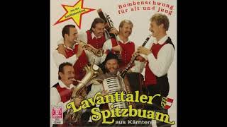 Die Lavanttaler Spitzbuam Aus Kärnten  Bombenschwung Für Alt Und Jung Schönes Album [upl. by Ahsinyt]