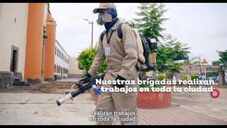 Brigadas contra el dengue  Gobierno de Jalisco [upl. by Dominga]