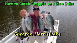 Find crappie fast on Shearon Harris LakeCatch more Crappie with these methods [upl. by Sabah823]