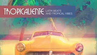 Latin and Tropical Loops and Samples  Tropicaliente by Basement Freaks [upl. by Tennaj133]