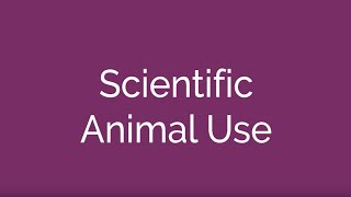 Scientific Animal Use [upl. by Proctor]