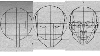 Master Loomis Method by knowing Basic proportions 💫 [upl. by Ainavi985]