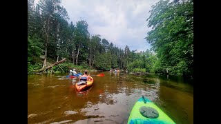 Kayaking the upper Manistee River [upl. by Hutchison652]