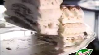 VIENNETTA from BREYERS  TV Commercial from the 1990s [upl. by Marcellus598]