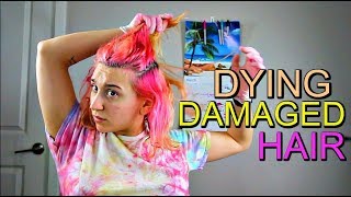 DYING DAMAGED HAIR The Healthy Way [upl. by Sheppard385]