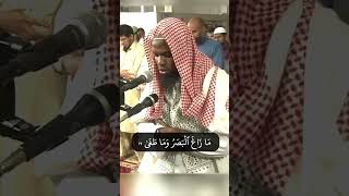 Sheikh Okasha Kameny Surah Najm Ayah 1723 [upl. by Cuyler]