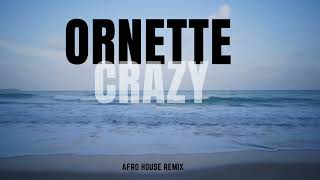 Ornette  Crazy Ilkay Sencan Afro Remix [upl. by Onahpets]