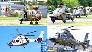 Compilation of Military Helicopters Landing amp Takeoff [upl. by Zorah]