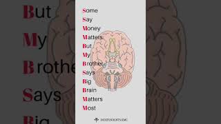 Cranial Nerves Classification  Mnemonics  shorts neuroanatomy mnemonics [upl. by Camella]