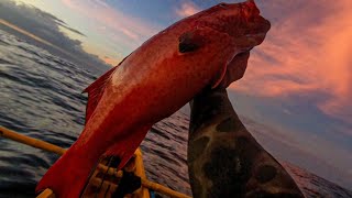 QUALITY RED  MORAY EEL CATCH N COOK  BUFFALO EMPEROR SPEARFISHING PHILIPPINES [upl. by Tamberg]