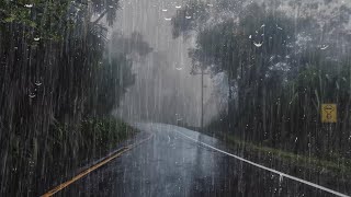 Sonido de Lluvia Fuerte y Perfecto para Dormir Profundamente  Ruido de Lluvia en el Bosque  ASMR [upl. by Sille]