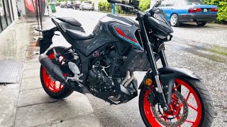 Yamaha MT25 2022  Grey  Walkaround [upl. by Chu]