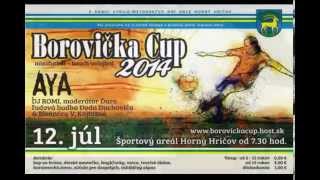 Borovička Cup 2014 [upl. by Nerual411]