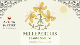 MILLEPERTUIS  PLANTE SOLAIRE AUX MILLE VERTUS extrait quotAlchimie de lÊtre au fil des Saisonsquot [upl. by Nanji]