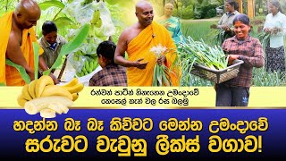 මෙන්න බලාපල්ලා උමංදාවේ හදන්න බෑ කියපු ලීක්ස් [upl. by Iat]