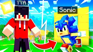 ကျွန်တော် Minecraft ထဲမှာ Sonic ဖြစ်ခဲ့ပါတယ်  Roleplay Video [upl. by Noleta134]