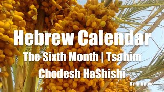 Hebrew Calendar  The Sixth Month  Tsahim  Chodesh HaShishi [upl. by Bobbee]