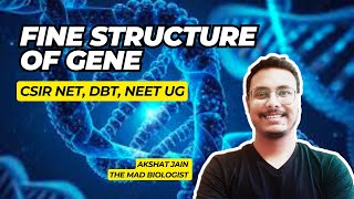 Fine Structure Of Gene In Hindi CSIRNET Fine Structure Of Gene In Hindi CSIRNET lifescience [upl. by Rhianna]