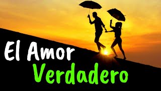 Tu Amor Propio Es Lo Mas Importante ¦ Gratitud Frases Reflexiones Agradecimiento Reflexión [upl. by Cirtemed]