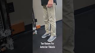 Toe Raises For Anterior Tibialis [upl. by Leopoldine]