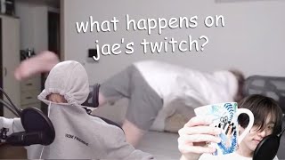 DAY6 Jae being a chaotic mess on Twitch [upl. by Annahavas266]