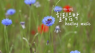 힐링음악 쓸쓸하고 찬란한 당신에게 양귀비의 위로와 행복을healing music [upl. by Ebba967]