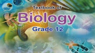 Mechanism of DNA replication xii Biology NBF [upl. by Seessel735]