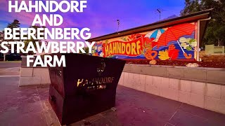 EPISODE 41 HAHNDORF  BEERENBERG STRAWBERRY FARM  DISCOVERY PARKS  AUTUMN [upl. by Ecaj]