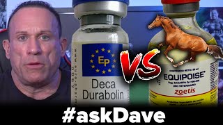 DECA vs EQUIPOISE Better MASS Builder askDave [upl. by Edi]