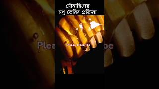 মধু তৈরির প্রক্রিয়া। organichoney beekeeping beehive nature beehome [upl. by Fernas360]