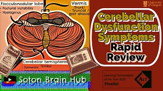 Cerebellar Dysfunction Symptoms Rapid Review [upl. by Vig]