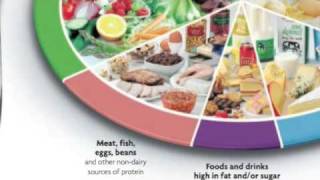 The eatwell plate episode 4 Meat fish eggs beans and other nondairy sources of protein [upl. by Ahsinut532]