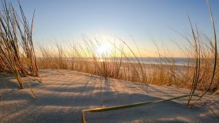 Sonnenuntergang auf Langeoog mit Meeresrauschen und Möwen [upl. by Brinson189]