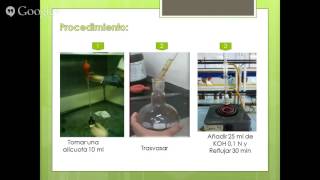 COMO HACER EL PROCESO DE EXTRACCION DE ALCALOIDE DE LA FLOR DE CAMPANATROMPETA DEL DIABLO [upl. by Trinl]