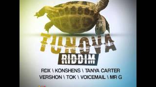 TUN OVA RIDDIM  FEDERATION SOUND MEGA MIX  BIRCHILL MUSIC  21ST HAPILOS DIGITAL [upl. by Shulins208]