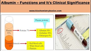 Biochemical Functions of Albumin  Clinical Significance of Albumin  Plasma Proteins [upl. by Auqinal587]