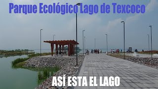 PARQUE ECOLÓGICO LAGO de TEXCOCO Mx  Así se ve el Lago de Texcoco [upl. by Sophy203]