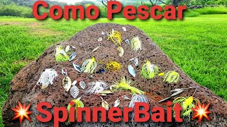 Como Pescar con SpinnerBait TRUCOS y CONSEJOS [upl. by Diann]