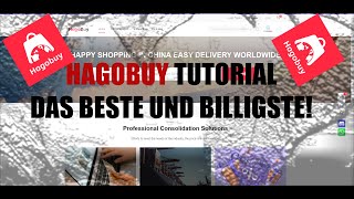 Hagobuy Tutorial auf DeutschGerman [upl. by Weingartner]