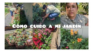 Qué hago en mi jardín día a día para mantenerlo así de bonito [upl. by Viv]