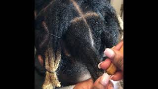 KodakKnots How to combine traditional Locs into Wicks [upl. by Kyd]