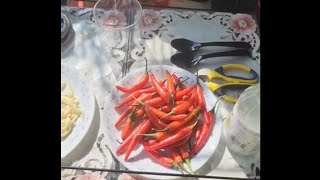 Red Chilli and Garlic Picklein mithi mithi dhup tzfoodandlife [upl. by Eanram]