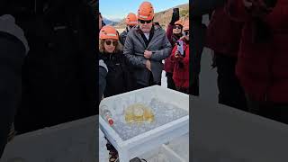 Um brinde Perito Moreno El Calafate Hielo hielo glaciarperitomoreno [upl. by Alodie]