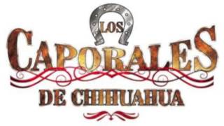 Los Caporales De ChihuahuaLos 500 Novillos [upl. by Vassar]