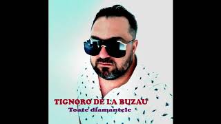 TIGNORO DE LA BUZAU TOATE DIAMANTELE LIVE 2020 LIVE [upl. by Thesda]