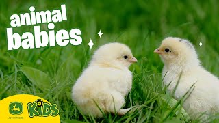 The CUTEST Baby Animals On The Farm 🐣  John Deere Kids [upl. by Lyrrad]